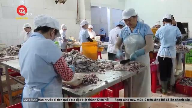 Cần phương án di dời cơ sở hải sản để đảm bảo môi trường cho thành phố Vũng Tàu
