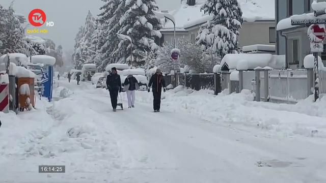Người dân Đức hào hứng đón tuyết rơi dày trước thềm giáng sinh 