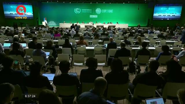 Chủ tịch COP28 yêu cầu các nước rời khỏi vùng an toàn 