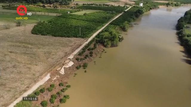 Đắk Nông xác định nguyên nhân sạt lở sông Krông Nô