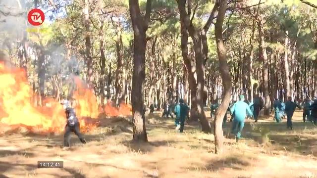 Gia Lai: Diễn tập chữa cháy rừng cấp tỉnh năm 2023