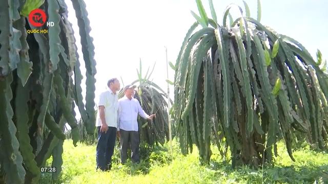 Nông nghiệp Việt Nam: Bài toán nước sạch nông thôn
