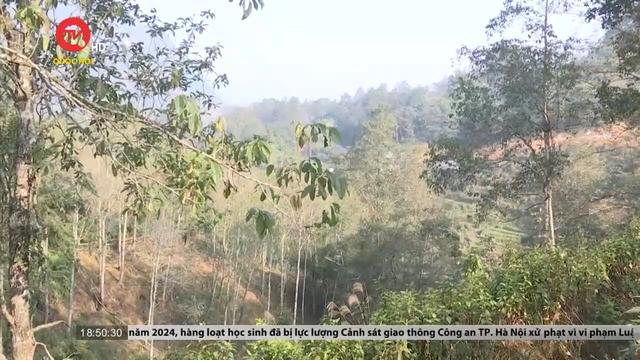 Lào Cai: Vì sao các chủ rừng chưa được chi trả tiền dịch vụ môi trường rừng? 
