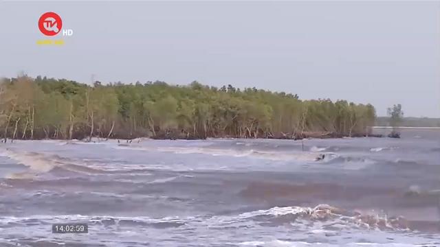 Gần 190 km bờ biển tại Cà Mau bị sạt lở 