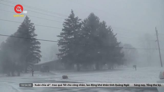 Cụm tin quốc tế: Gần 100 người thiệt mạng do thời tiết lạnh giá ở Mỹ 
