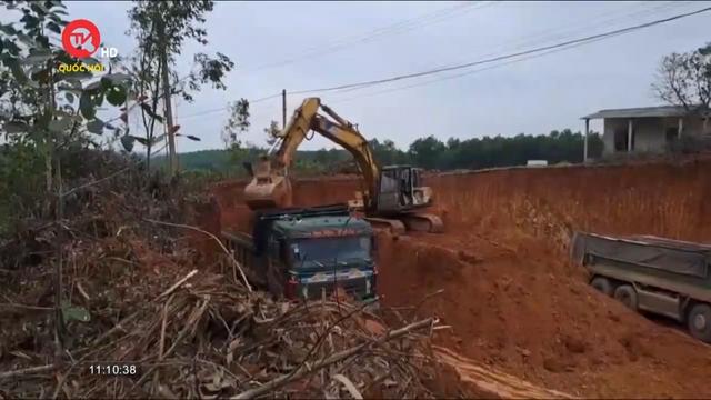 Xử phạt, tiếp tục làm rõ vụ hủy hoại đất quy mô lớn tại Quảng Trị