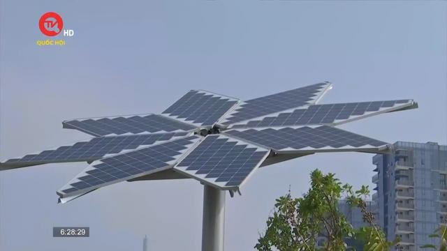 Cây solar - hoa hướng dương hướng tới năng lượng sạch
