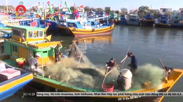 Ngư dân Bình Thuận vươn khơi đầu Xuân 