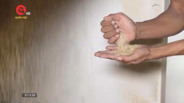 Giá gạo Việt Nam mất vị trí cao nhất thế giới
