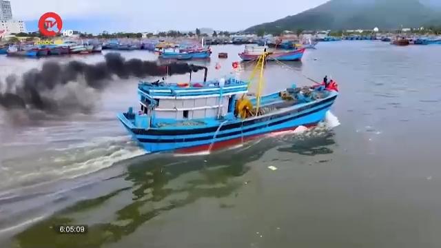 Ăn Tết xong, ngư dân Quảng Nam hăng hái vươn khơi bám biển