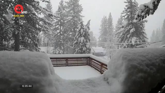 Bão tuyết dữ dội tại miền Bắc California, Mỹ
