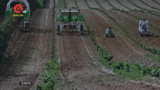 Hội chợ nông nghiệp quốc tế Pháp đưa ra giải pháp trước nguy cơ hạn hán