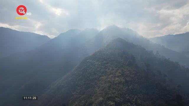 Gió Ô Quý Hồ trở lại, nguy cơ cháy rừng tại Sa Pa tăng cao