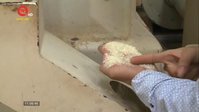 Thủ tướng chỉ đạo đẩy mạnh sản xuất, xuất khẩu lúa gạo
