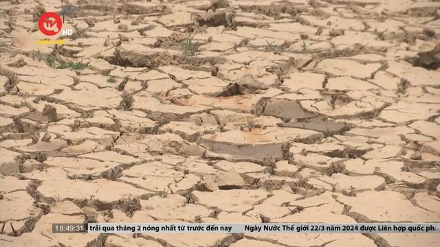 Lâm Đồng: Mùa khô mới bắt đầu, hồ chứa nước đã cạn trơ đáy