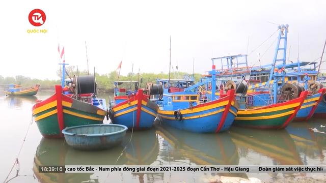 Bình Thuận: Tiên phong cấp đăng ký tạm cho tàu cá "3 không"