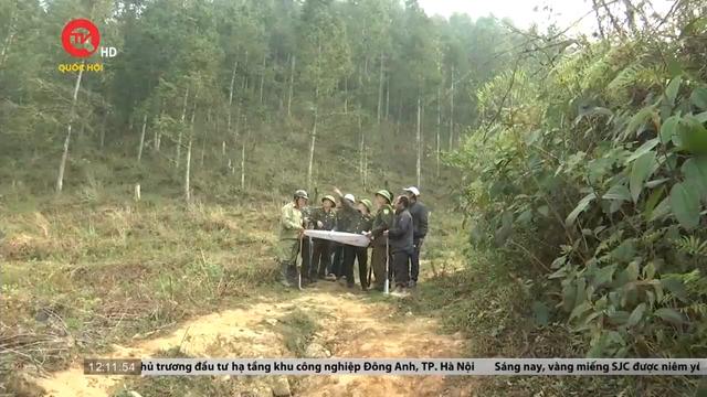 Nhiều biện pháp chủ động ngăn ngừa cháy rừng tại Lào Cai