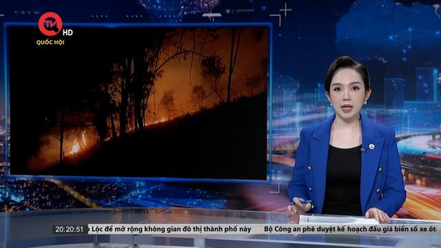Lâm Đồng: Khống chế đám cháy rừng tràm rộng 20ha