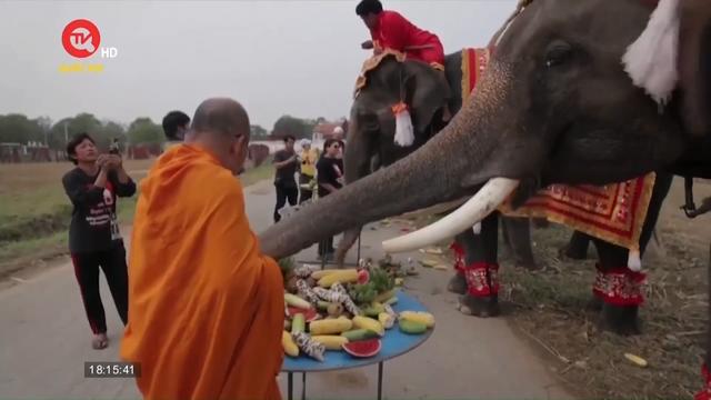 Thái Lan tôn vinh những chú voi trong ngày lễ quốc gia