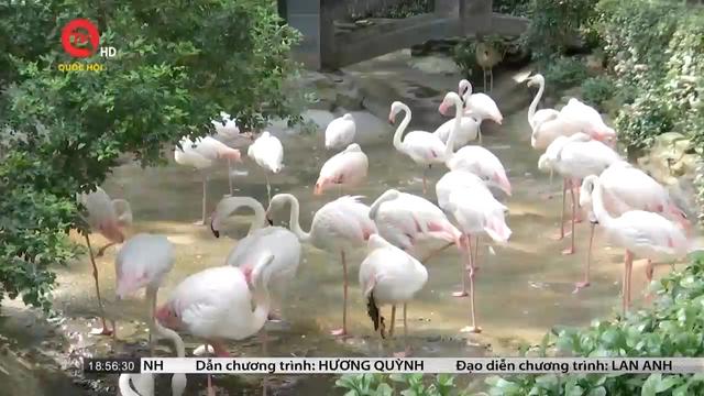 Thảo Cầm Viên - vườn thú cổ giữa lòng thành phố