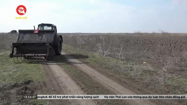 Nông dân Ukraine dùng máy kéo làm phương tiện rà phá bom mìn 