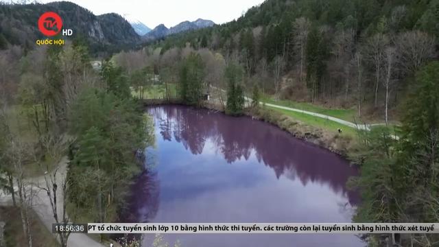 Hồ nước màu tím thu hút du khách Đức 