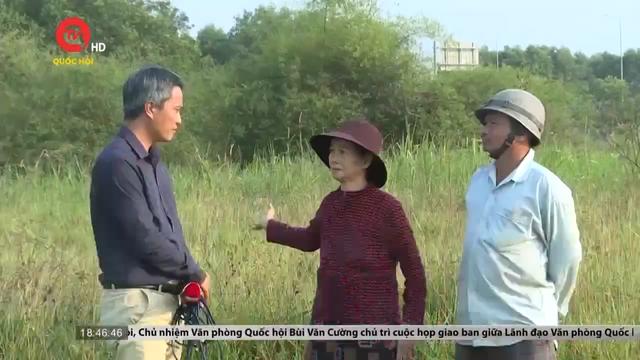 Đất nông nghiệp bỏ hoang 8 năm vì dự án cao tốc Đà Nẵng - Quảng Ngãi