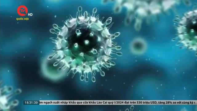 Việt Nam phát hiện ca mắc cúm A/H9 đầu tiên