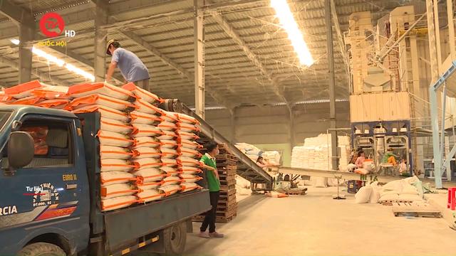 Việt Nam thu gần 1,4 tỷ USD từ xuất khẩu gạo
