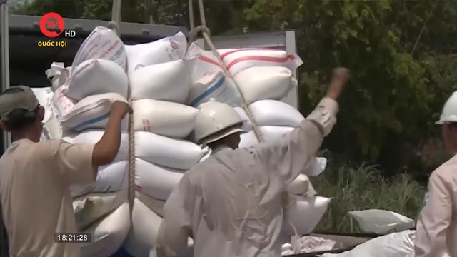 Việt Nam thu gần 1,4 tỷ USD từ xuất khẩu gạo 