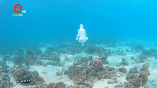 Theo dõi rạn san hô tại Australia bằng thiết bị tự lái