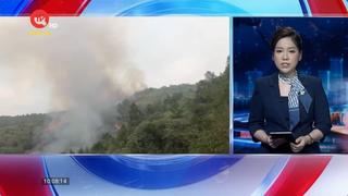 Khẩn trương dập tắt đám cháy rừng tại Nậm Nhùn, Lai Châu