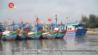 Quảng Ngãi: Ngăn chặn tàu cá đánh bắt bất hợp pháp 