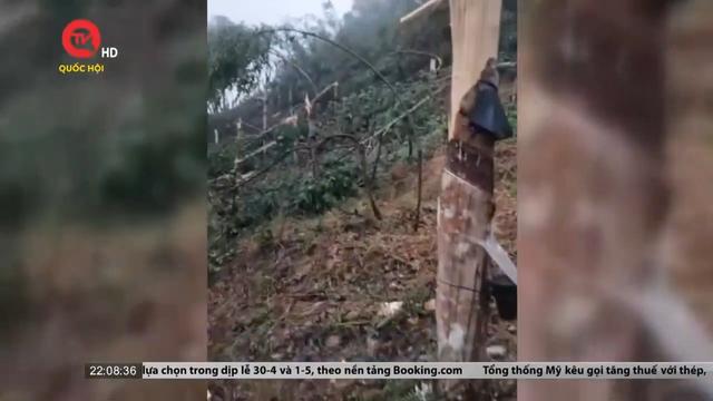 Lai Châu: Mưa lớn kèm gió xoáy làm 2 người mất tích, tốc mái 120 nhà dân