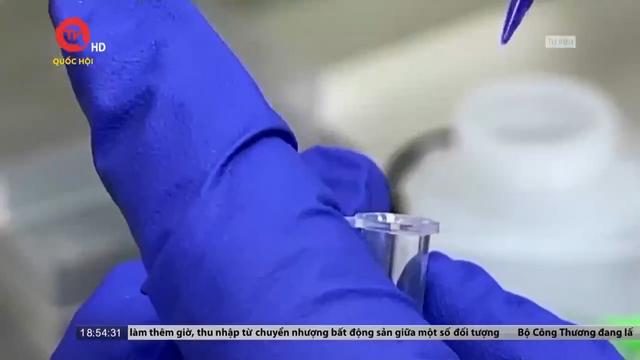 WHO phát hiện virus cúm gia cầm H5N1 trong sữa