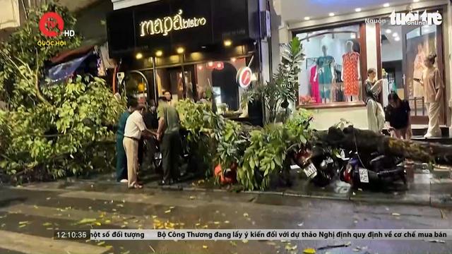 Hà Nội: Nhiều cây cổ thụ gãy đổ trong mưa giông 