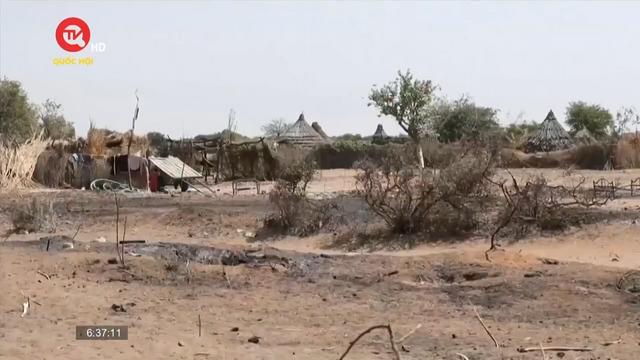 Liên hợp quốc cảnh báo mặt trận mới ở Sudan