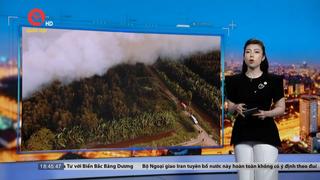 Hơn 26.000ha rừng ở Cà Mau có nguy cơ cháy ở cấp cực kỳ nguy hiểm