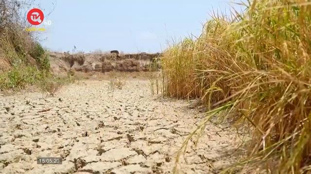 Đắk Lắk: Kiến nghị đầu tư công trình thủy lợi, nạo vét hồ đập trữ nước mùa khô