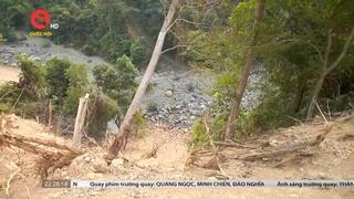 Quảng Trị: Phát hiện vụ phá rừng tự nhiên làm đường 