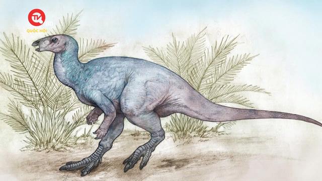 Argentina phát hiện hóa thạch khủng long ăn cỏ 90 triệu năm trước
