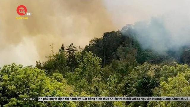 2 cán bộ kiểm lâm tử nạn khi tham gia chữa cháy rừng ở Hà Giang