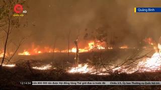 Nắng nóng, cháy rừng xảy ra tại nhiều địa phương