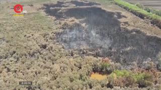 Hơn 370ha diện tích rừng ở Kiên Giang bị thiệt hại do cháy