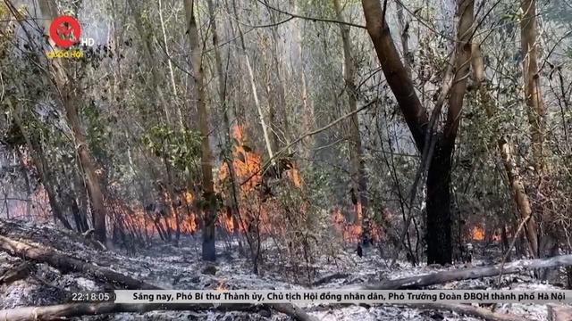 Khánh Hòa cháy hàng chục hecta rừng và mía