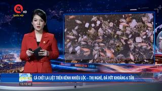 Cá chết la liệt trên kênh Nhiêu Lộc - Thị Nghè, đã vớt khoảng 6 tấn