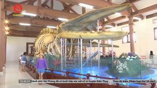 Cận cảnh 2 bộ xương cá voi lớn nhất Việt Nam ở đảo Lý Sơn 