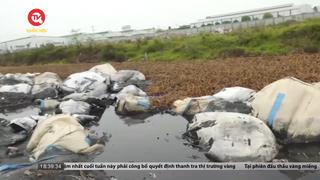 Hưng Yên: Phát hiện hàng tấn chất thải công nghiệp đổ trái phép
