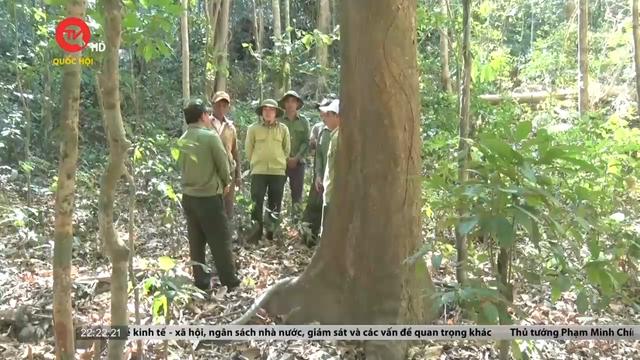 Kon Tum: Thiếu hụt quản lý bảo vệ rừng do chế độ đãi ngộ chưa tương xứng