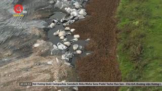 Hưng Yên: Bắt giữ đối tượng đổ 350 tấn chất thải ra môi trường 